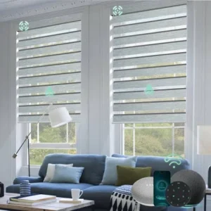 K4- Window Blind