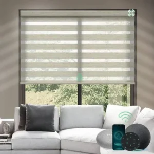 J2- Window Blind
